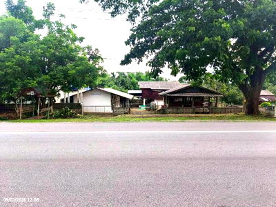 Houses for sale Chiang Rai : HOME for sale  Sai Khao Phan Chiang Rai