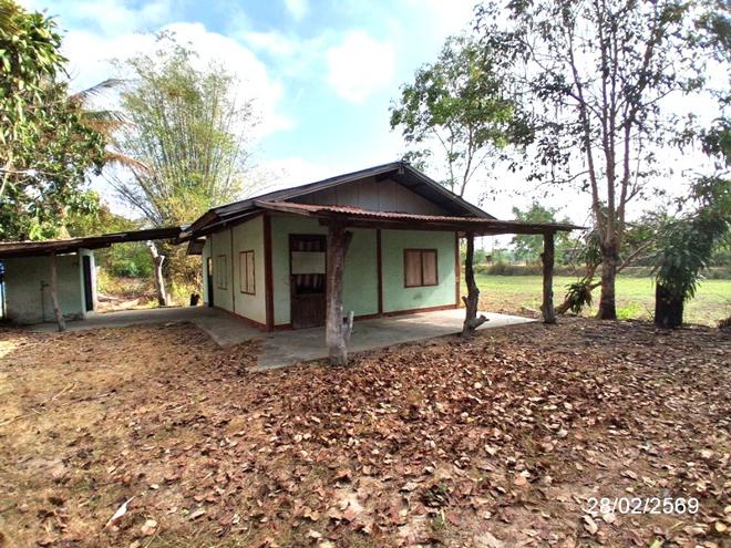 รูป บ้านเดี่ยว 147.3 ตร.วา เมืองยโสธร ยโสธร 493,000 - รูปที่ 3/24