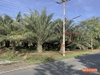 listing thumbnail image 14