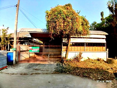 บ้านเดี่ยว วัดศรีดอนชัยป่าตึงงาม (วัดแม่เก็ดน้อย) : บ้านเดี่ยว สำหรับขาย - ป่าไผ่ สันทราย เชียงใหม่