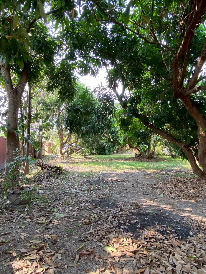 รูป ขายบ้านสวนสองชั้น พร้อมที่ดิน มีรั้วล้อมรอบ — สารภี เชียงใหม่ - รูปที่ 18/29