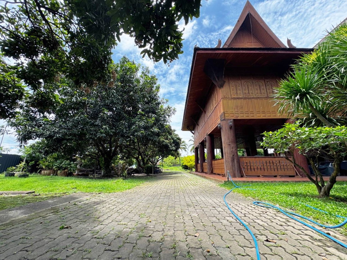 รูป  ขายที่ดินพร้อมบ้านไม้สักทอง ใจกลางทำเลทอง สันป่าเปา , สันทราย , เชียงใหม่  เนื้อที่ 1 - 3 - 61 ไร่ - รูปที่ 8/12