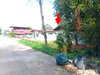 listing thumbnail image 29