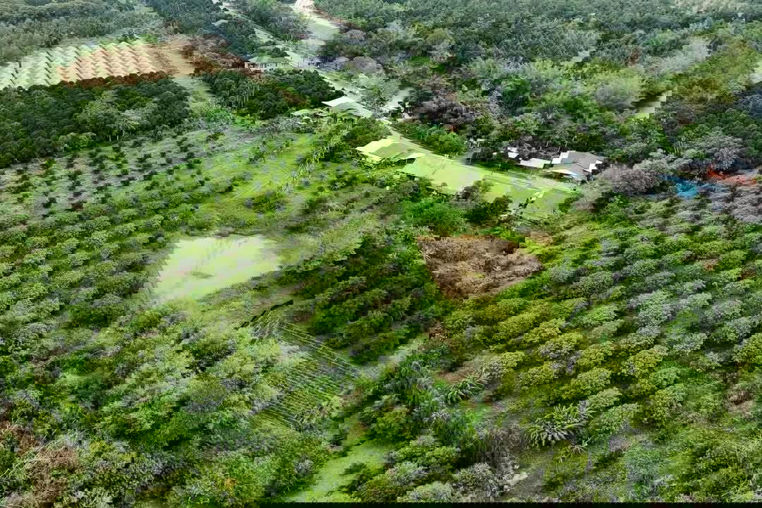 รูป ที่ดิน อ.มะขาม จังหวัดจันทบุรี - รูปที่ 2/5