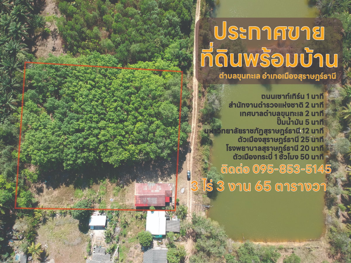 รูป ขาย ที่ดินสวนยางพร้อมบ้าน ตำบลขุนทะเล สุราษฎร์ธานี 3 ไร่ 3 งาน 65 ตารางวา - รูปที่ 3/9