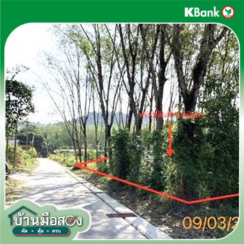 picture LAND 674 Sq.w. Ko Yao Phangnga for 4.7M - 14/16