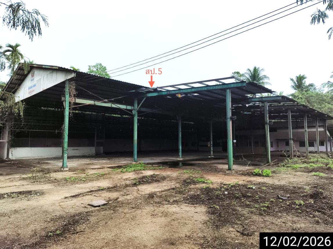 picture FACTORY 2514 Sq.w. Tha Sae Chumphon for 11.8M - 25/50