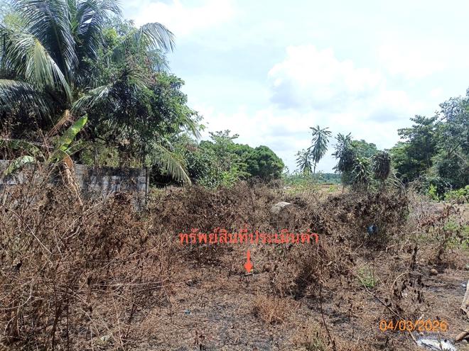 picture LAND 103.7 Sq.w. Muang Trang Trang for 1.7M - 6/16