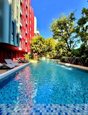 Condos for rent Satree Phuket School : ✨ Special Price! Condo for Rent @The Base Bukit, Phuket ✨  