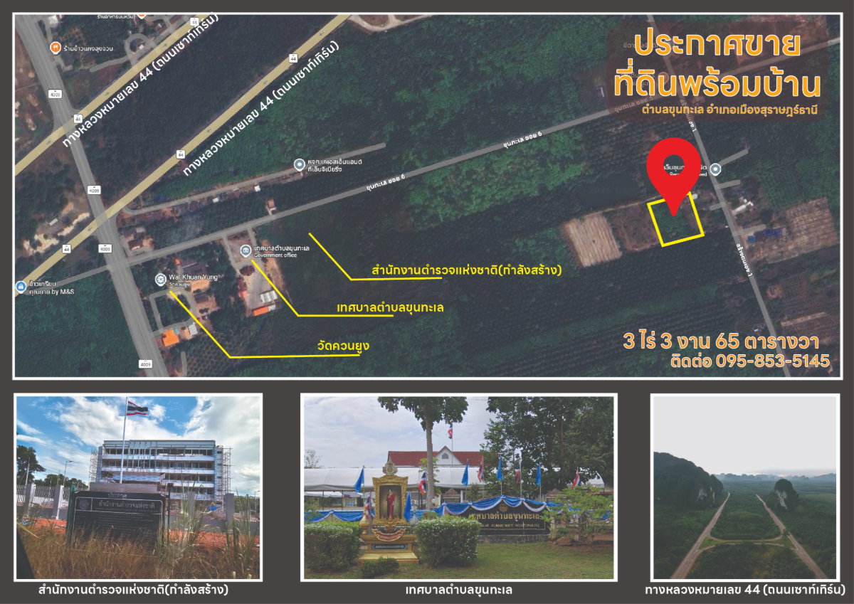 รูป ขาย ที่ดินสวนยางพร้อมบ้าน ตำบลขุนทะเล สุราษฎร์ธานี 3 ไร่ 3 งาน 65 ตารางวา - รูปที่ 4/9