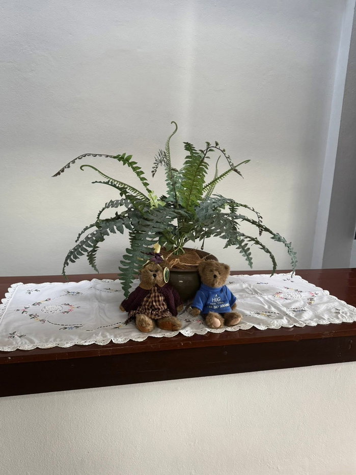 รูป 🏢✨ อาคารรีโนเวทใหม่ให้เช่า สุขุมวิท 4 ใกล้ BTS นานา ทำเล Prime กลางเมือง Sukhumvit 4 🌳 ใกล้สวนเบญจกิติ บรรยากาศดี - รูปที่ 14/17