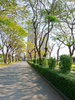 listing thumbnail image 46