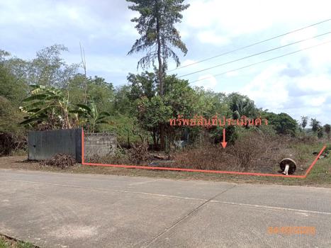 picture LAND 103.7 Sq.w. Muang Trang Trang for 1.7M - 13/16
