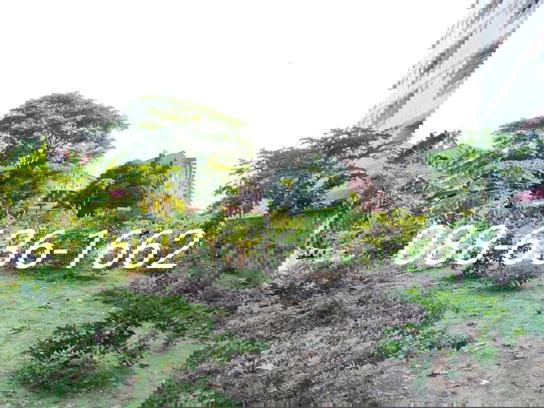 รูป ขายที่ดิน 206ตรว.ทำเลดี พิกัด บางแค เพชรเกษม หนองแขม ใกล้ อพาร์ทเม้นท์ โรงเรียน ตลาด ฯ - รูปที่ 6/9