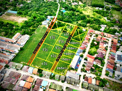 ที่ดิน ชลบุรี : ขายที่ดินศรีราชา โซนไร่กล้วย นาพร้าว ใกล้แหล่งชุมชน