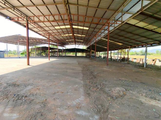 รูป บ้านเดี่ยว 4873 ตร.วา ภูเขียว ชัยภูมิ 6.2M - รูปที่ 40/90