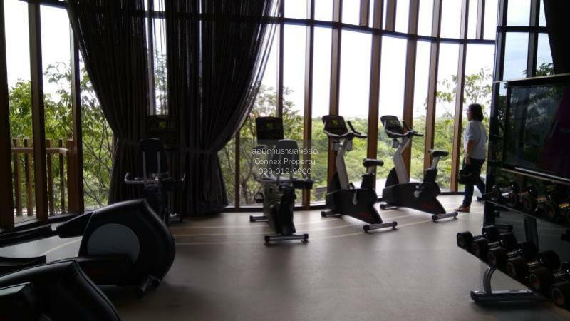 รูป 🔥🔥🔥 เช่าคอนโด เดอะไลน์ จตุจักร BTS-หมอชิต จอมพล เขต จตุจักร กรุงเทพ CX-51302 ✅ ทักไลน์ @connexproperty ตอบทันที ทีมงานมืออาชีพ ✅ 🔥🔥🔥 - รูปที่ 8/10