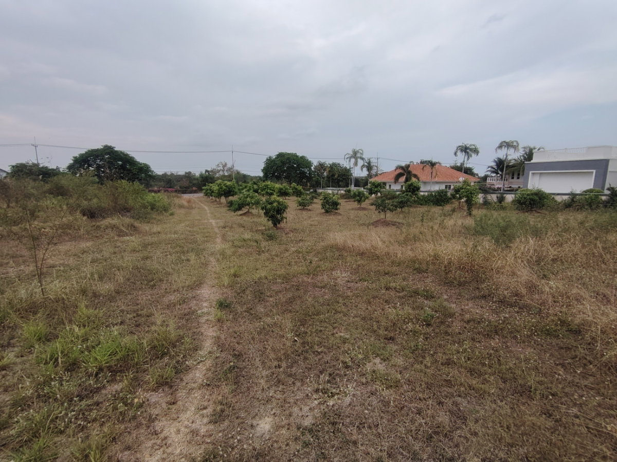 รูป ที่ดิน 1-2-0 ไร่ ปาล์มฮิลส์ กอล์ฟ - ราคาพิเศษเพื่อขายด่วน! ทำเลทอง สนามกอล์ฟปาล์มฮิลส์! - รูปที่ 5/10