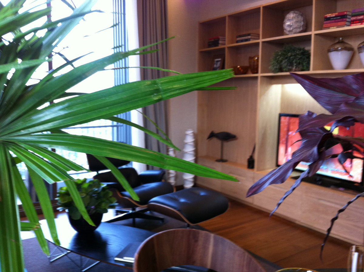 รูป ให้เช่าคอนโด Quattro By Sansiri ตกแต่งครบครัน (S15-15483) - รูปที่ 3/18