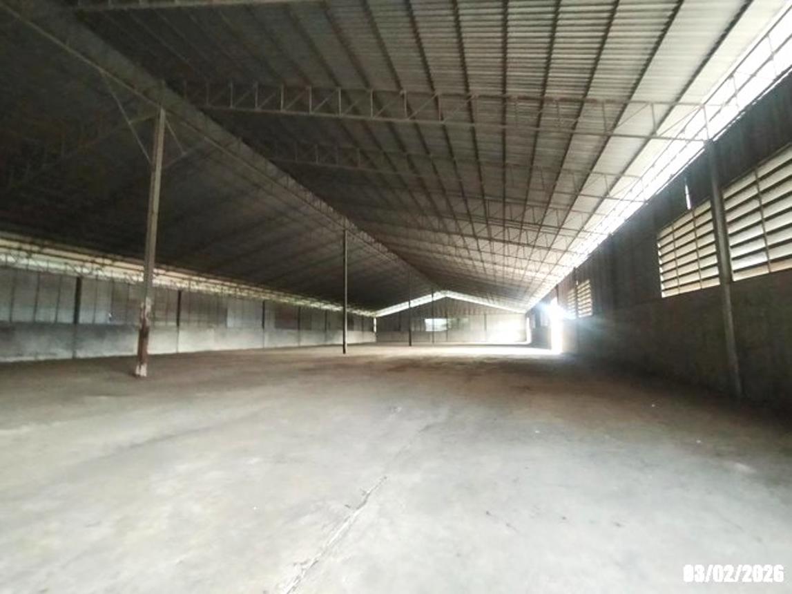 รูป อาคารโรงงาน สำหรับขาย - ท่าลี่ ท่าลี่ เลย - รูปที่ 46/56