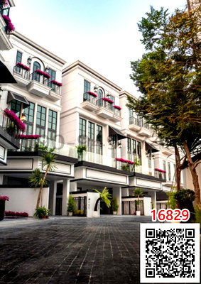 เช่าบ้านเดี่ยว ม.กรุงเทพ กล้วยน้ำไท : เช่า บ้านเดี่ยวทรงสูงสุดหรู 3 เมซอง บลองช สุขุมวิท 67 Maison Blanche Sukhumvit 67 เดิน 7 นาทีถึง BTS เอกมัย 