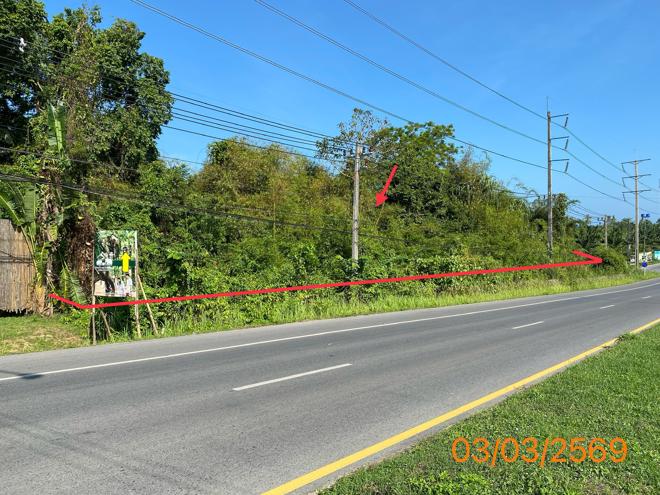 รูป ที่ดินว่างเปล่า 7983 ตร.วา ตะกั่วป่า พังงา 71.8M - รูปที่ 2/12