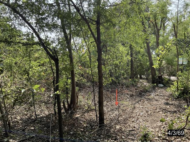 รูป ที่ดินว่างเปล่า 97.4 ตร.วา เมืองขอนแก่น ขอนแก่น 1.2M - รูปที่ 7/18