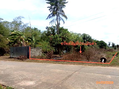 Land for sale : LAND for sale  Ban Khuan Muang Trang Trang