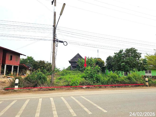รูป บ้านเดี่ยว 398 ตร.วา บางระกำ พิษณุโลก 2M - รูปที่ 14/34