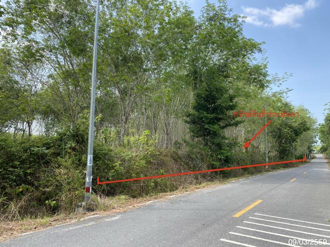 picture LAND 2400 Sq.w. Na Thawi Songkhla for 3.1M - 3/20