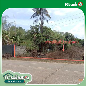 picture LAND 103.7 Sq.w. Muang Trang Trang for 1.7M - 14/16