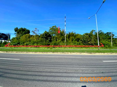 LAND 7983 Sq.w. Takua Pa Phangnga for 71.8M