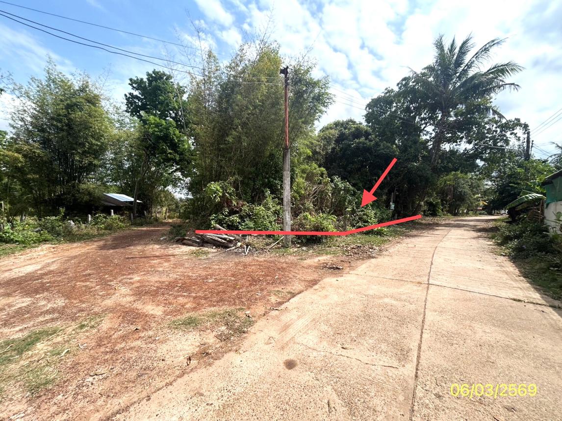 รูป ที่ดินว่างเปล่า 201.7 ตร.วา พนา อำนาจเจริญ 287,000 - รูปที่ 11/20