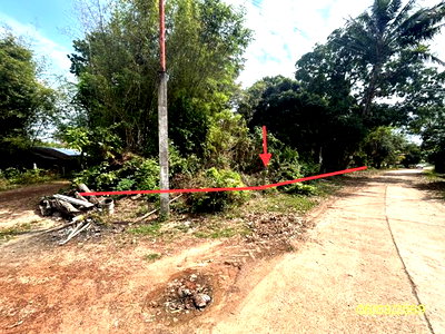 Land for sale : LAND for sale  Mai Klon Phana Amnat Charoen