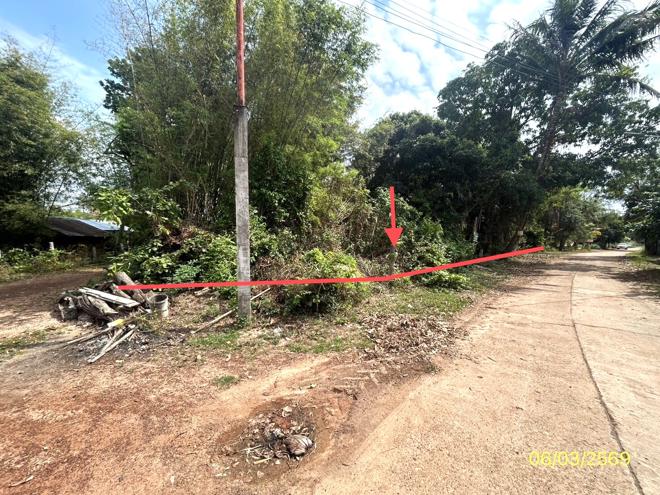 รูป ที่ดินว่างเปล่า 201.7 ตร.วา พนา อำนาจเจริญ 287,000 - รูปที่ 1/20