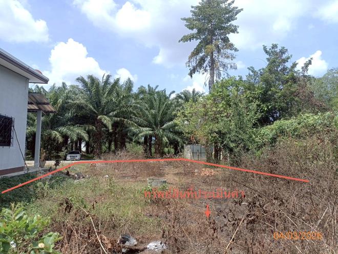 picture LAND 103.7 Sq.w. Muang Trang Trang for 1.7M - 5/16