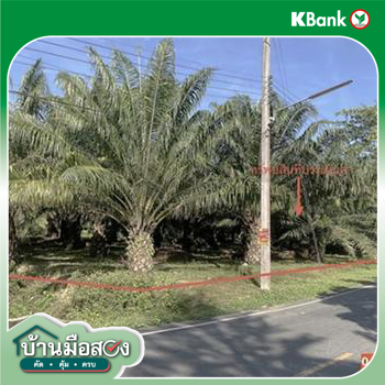 รูป ที่ดินว่างเปล่า 1133 ตร.วา ฉวาง นครศรีธรรมราช 15.3M - รูปที่ 16/18