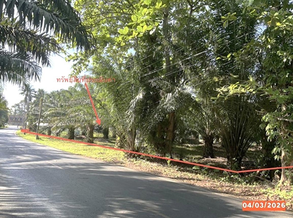 รูป ที่ดินว่างเปล่า 1133 ตร.วา ฉวาง นครศรีธรรมราช 15.3M - รูปที่ 10/18