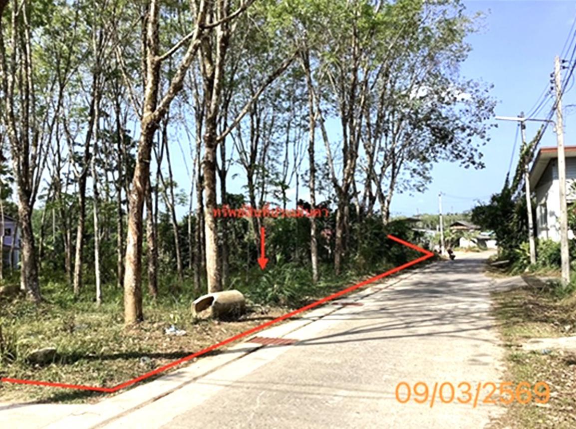 picture LAND 674 Sq.w. Ko Yao Phangnga for 4.7M - 8/16