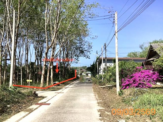 picture LAND 674 Sq.w. Ko Yao Phangnga for 4.7M - 5/16