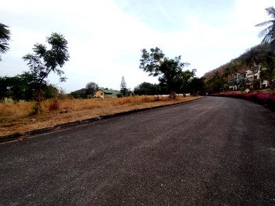 ที่ดิน ม.ราชภัฏสวนดุสิต หัวหิน : ที่ดินในโครงการปาล์มฮิลส์ขนาด 4-2-0 ไร่  มี 3 แปลงติดกัน โอกาสการลงทุนที่ยอดเยี่ยม - ห้ามพลาด!