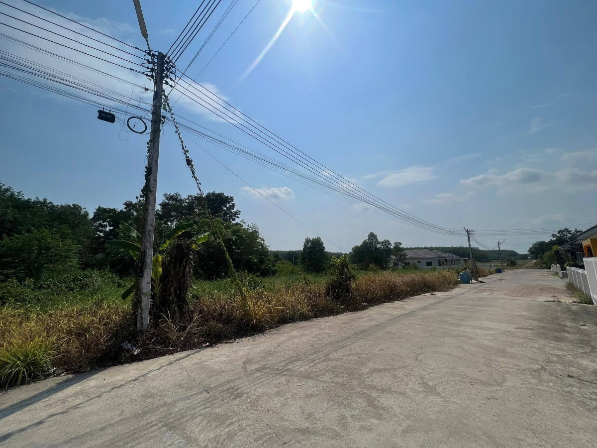 รูป ขายที่ดินเศรษฐกิจแม่น้ำคู้ 2 ไร่ 2 งาน - รูปที่ 4/6