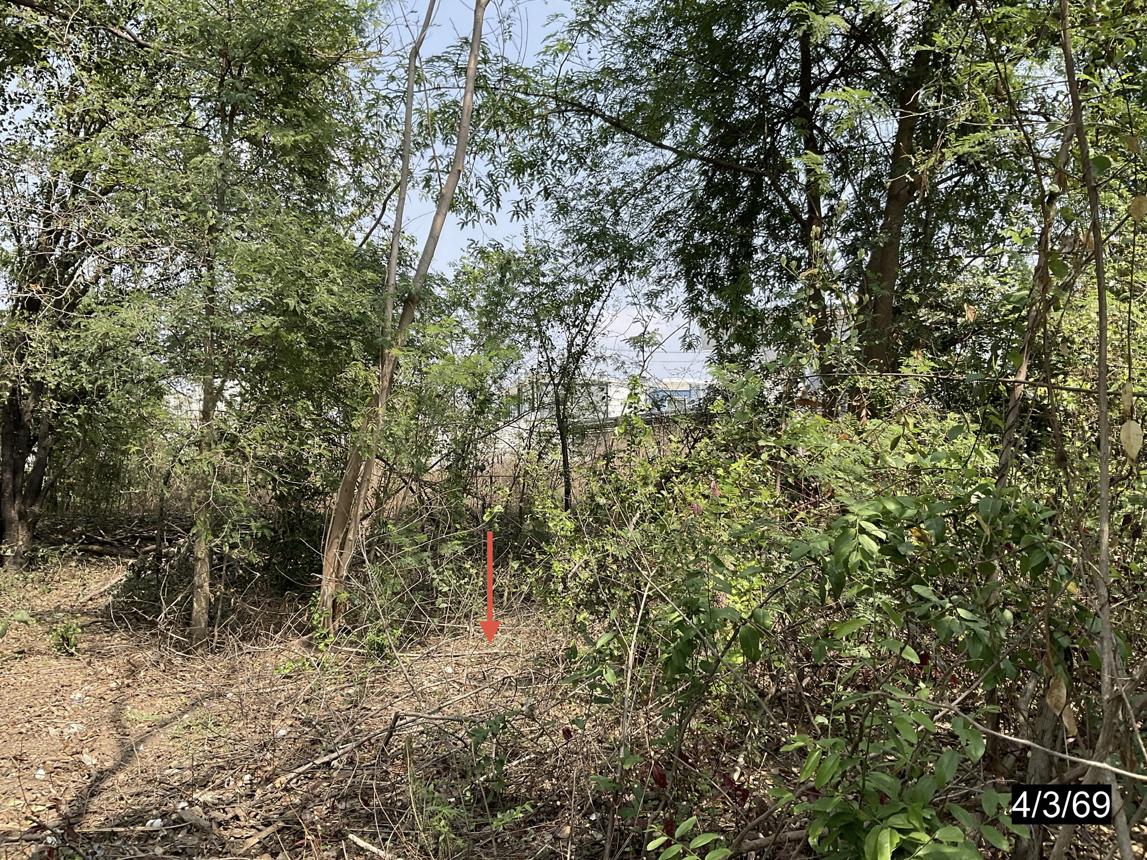 รูป ที่ดินว่างเปล่า 97.4 ตร.วา เมืองขอนแก่น ขอนแก่น 1.2M - รูปที่ 11/18