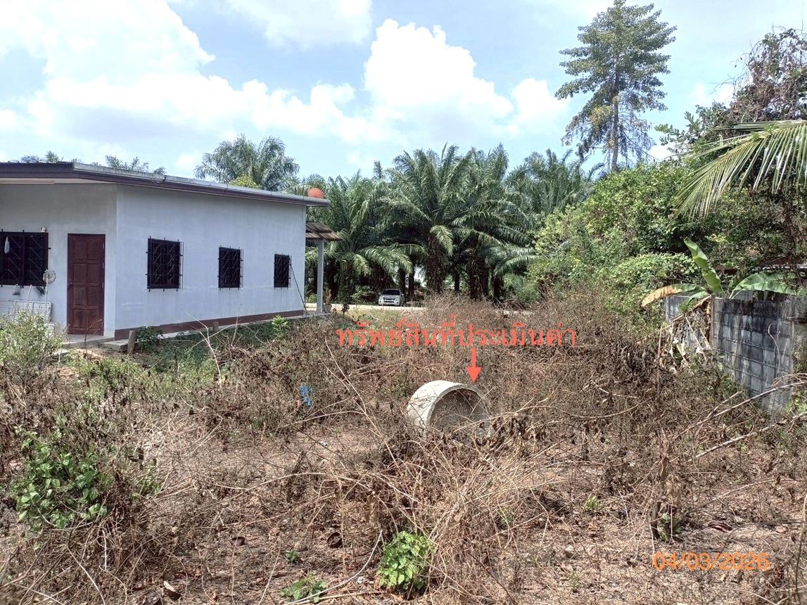 picture LAND 103.7 Sq.w. Muang Trang Trang for 1.7M - 10/16