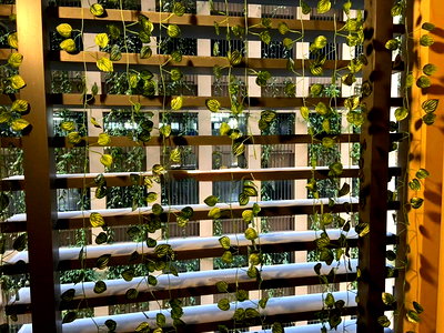 Condos for rent : Book now! ‼️ Denim Jatujak condo for rent 🔥 Beautiful room, fully furnished + washing machine📍 