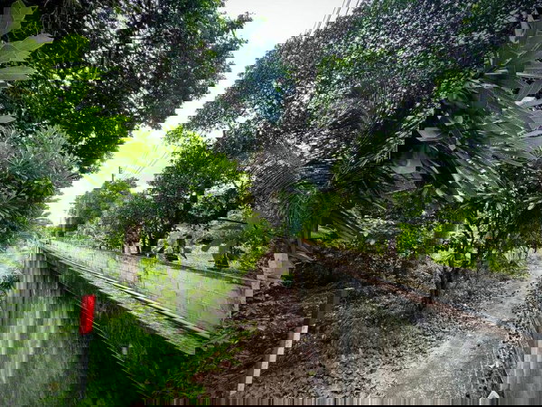 รูป ขายที่ดินศรีราชา โซนไร่กล้วย นาพร้าว ใกล้แหล่งชุมชน - รูปที่ 15/16