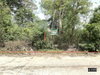 listing thumbnail image 14