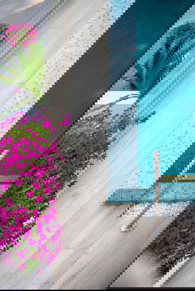 รูป ให้เช่า ขายบ้านเดี่ยวสุดหรู 4 ชั้น Maison Blanche Sukhumvit 67 ทำเลใจกลางเมือง 7 นาทีถึง BTS พระโขนง - รูปที่ 8/14