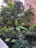 listing thumbnail image 11