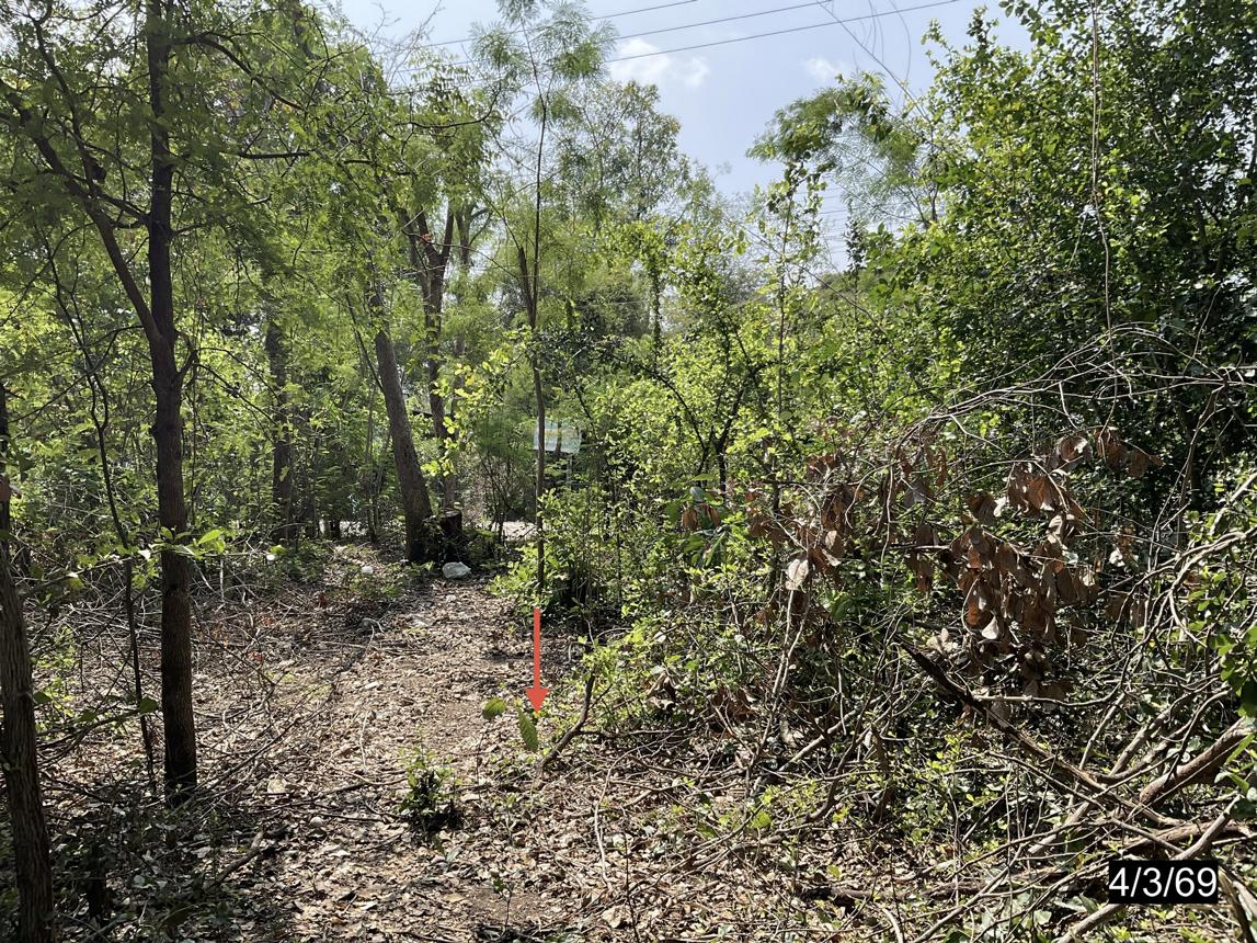 รูป ที่ดินว่างเปล่า 97.4 ตร.วา เมืองขอนแก่น ขอนแก่น 1.2M - รูปที่ 13/18